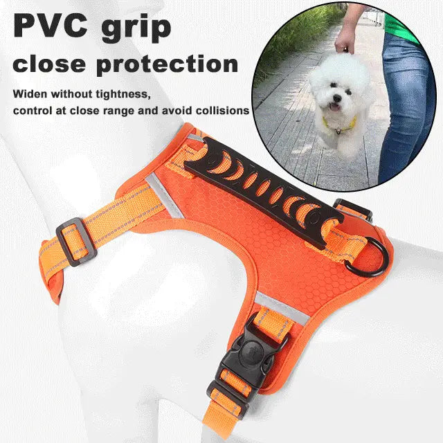 🐶🐶【Časovo obmedzená zľava】【5–30 kg】Postroj pre psov, proti ťahaniu, pre domáce zvieratá.